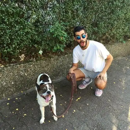 6686体育app合作伙伴Clifford